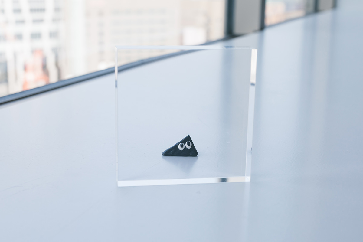 新アイテム「アクリルブロック」がやってきた！という忍者スリスリくん